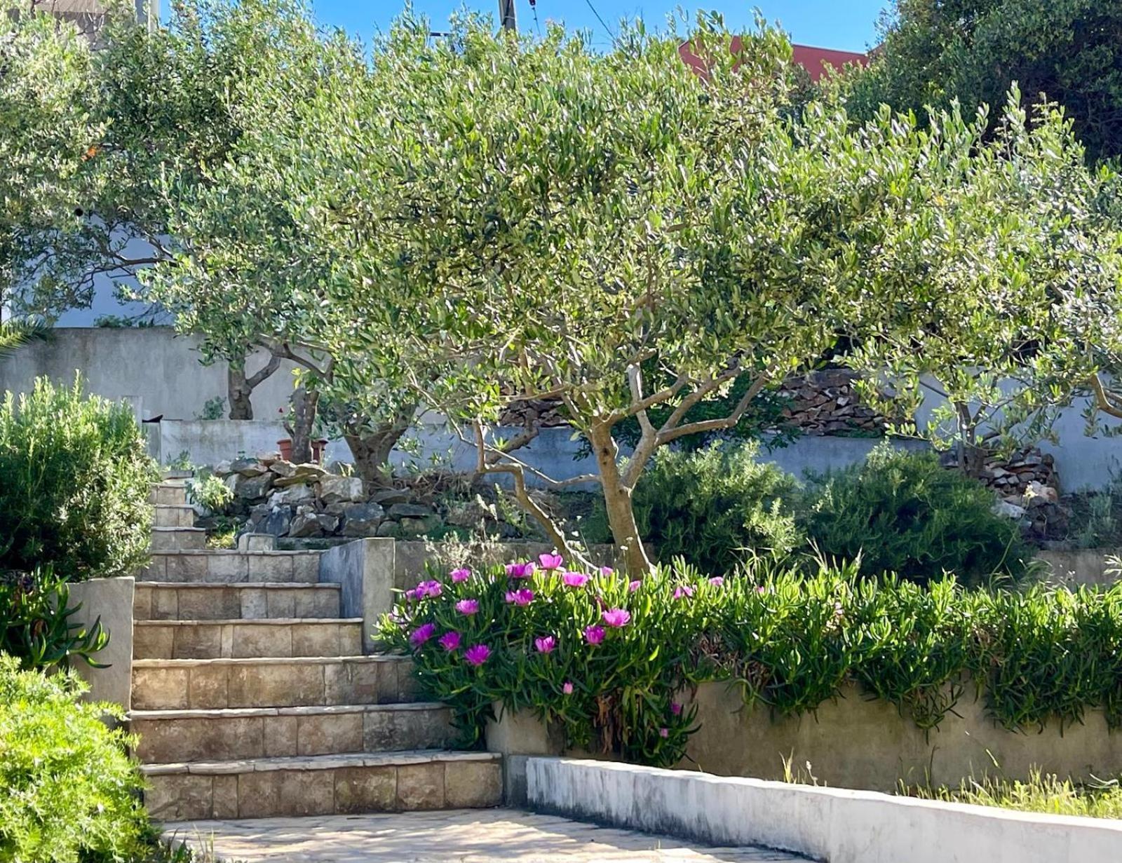Villa Bua - Beautiful Seafront Apartments Trogir Exterior foto